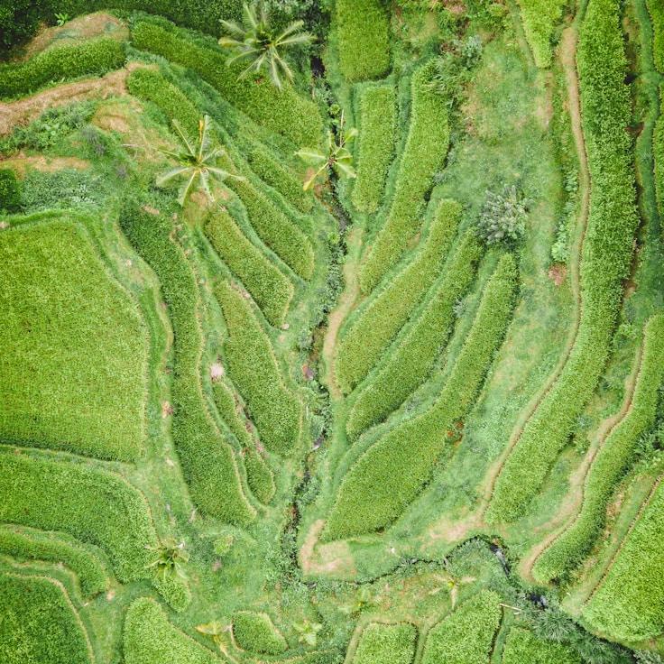 Kids playground area in France